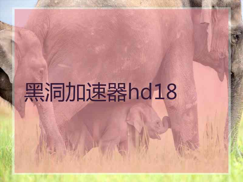 黑洞加速器hd18