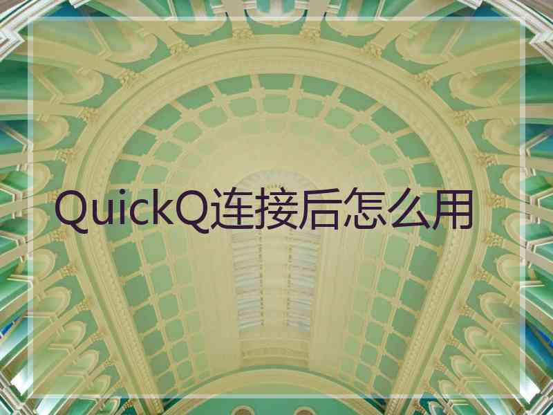 QuickQ连接后怎么用
