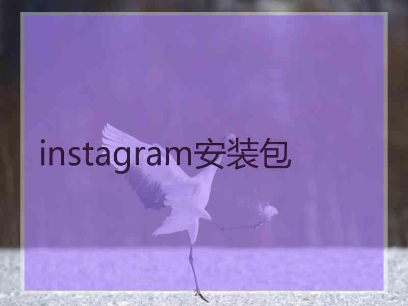 instagram安装包