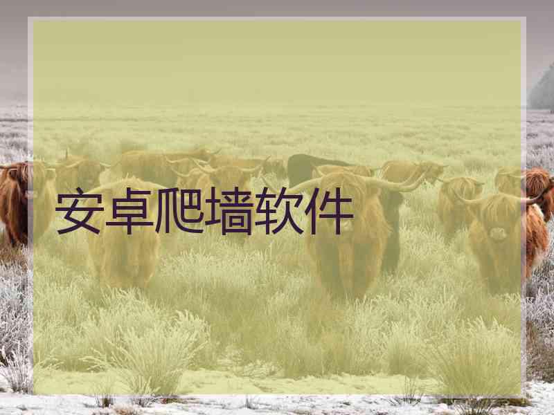 安卓爬墙软件