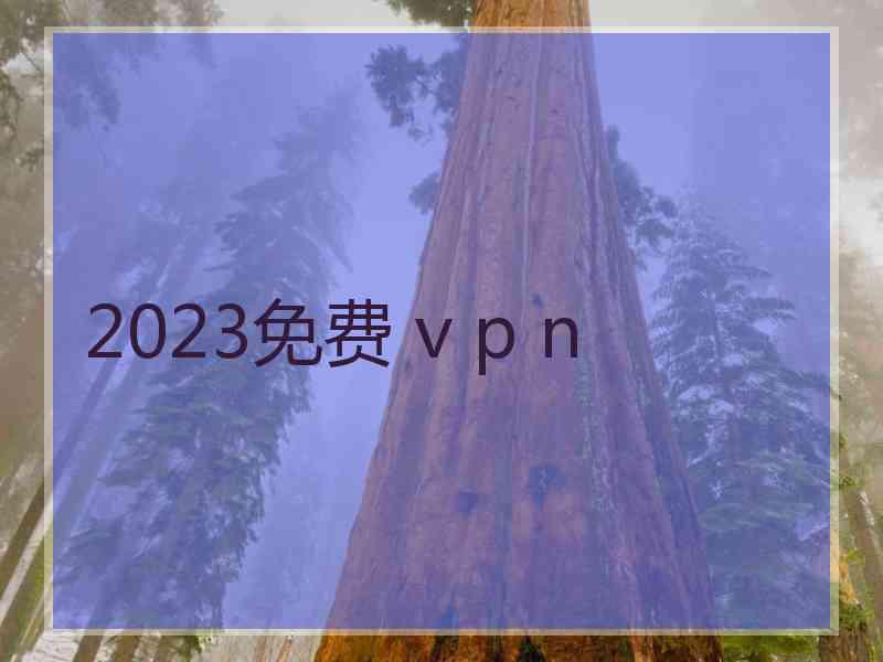 2023免费 v p n