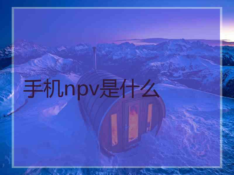 手机npv是什么