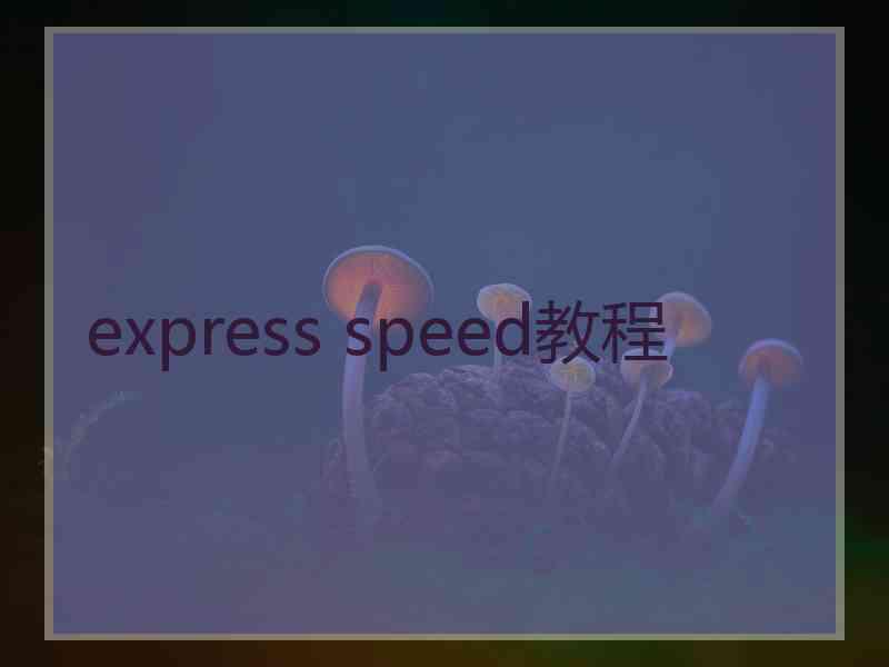 express speed教程