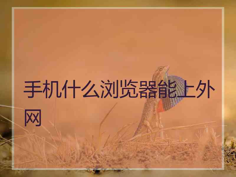 手机什么浏览器能上外网
