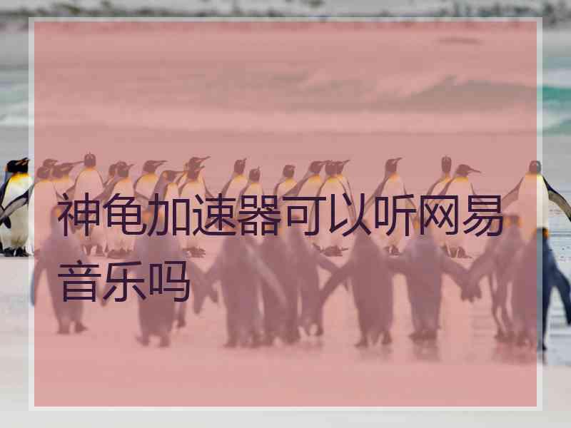 神龟加速器可以听网易音乐吗