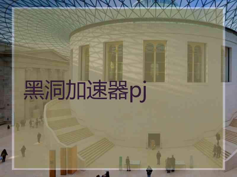 黑洞加速器pj