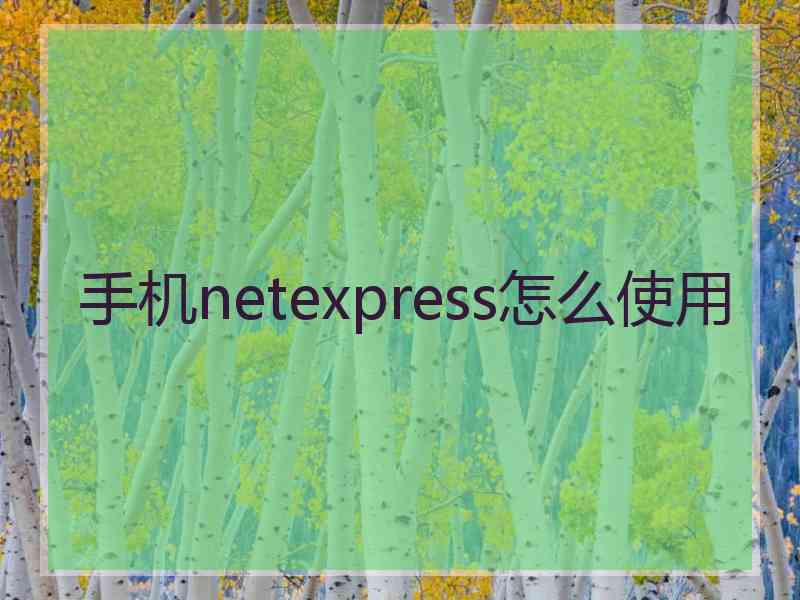 手机netexpress怎么使用