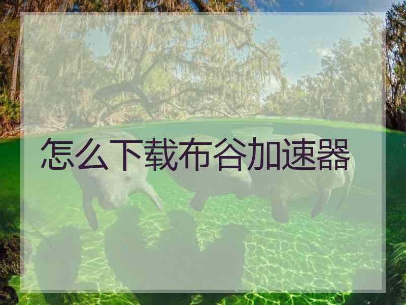 怎么下载布谷加速器