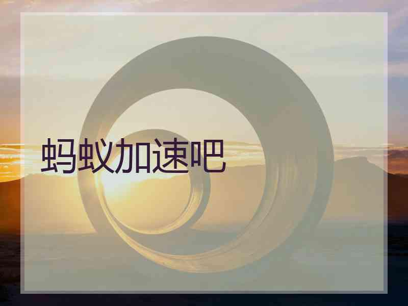 蚂蚁加速吧