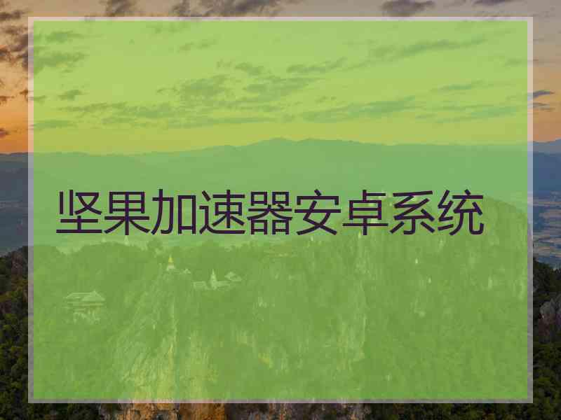 坚果加速器安卓系统