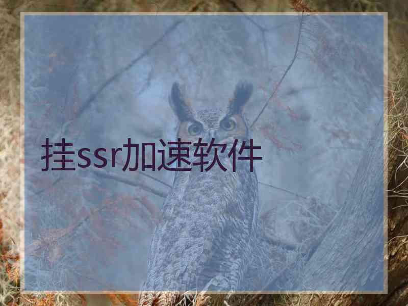 挂ssr加速软件