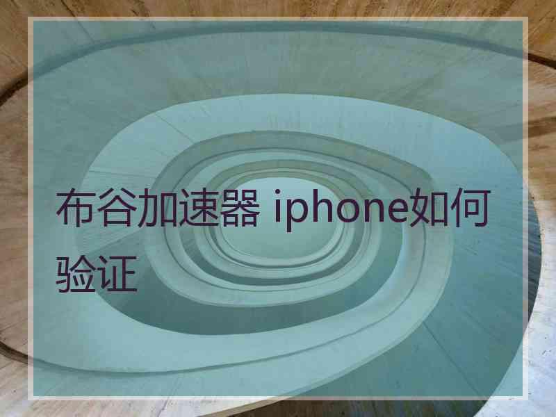 布谷加速器 iphone如何验证
