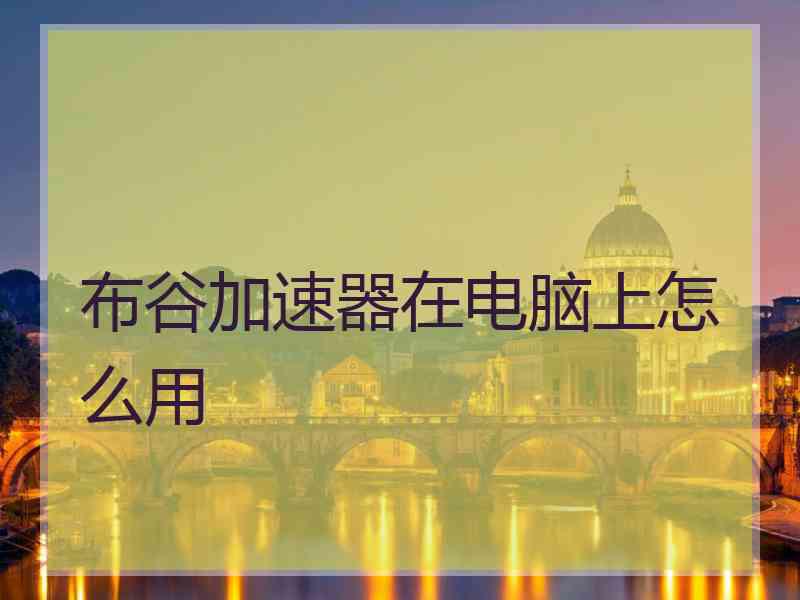 布谷加速器在电脑上怎么用
