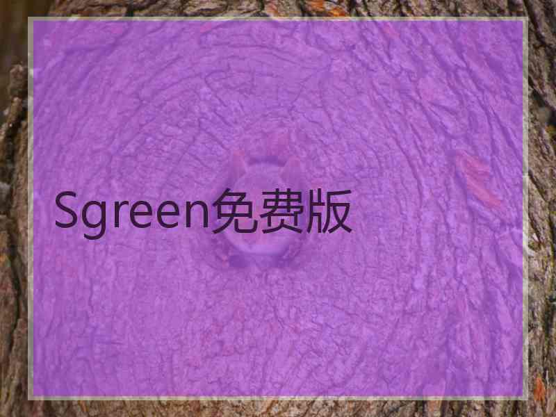 Sgreen免费版