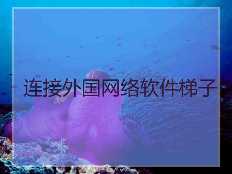 连接外国网络软件梯子