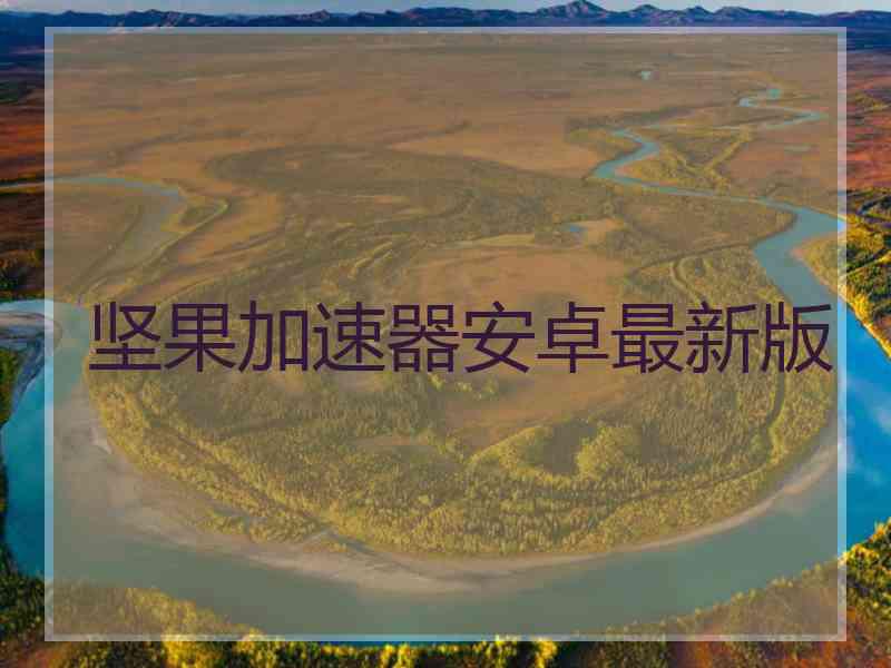 坚果加速器安卓最新版