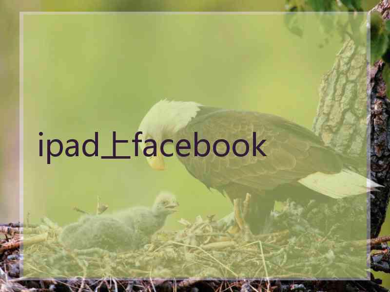 ipad上facebook
