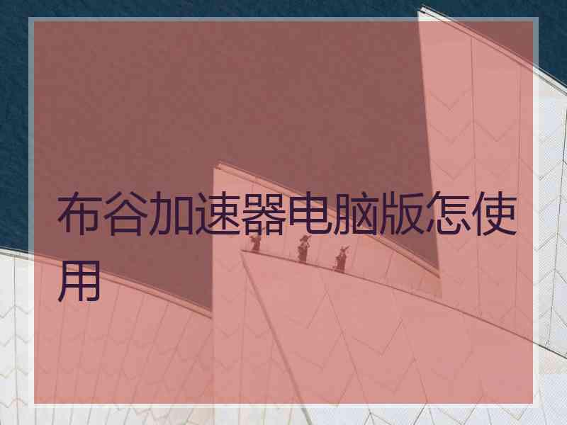 布谷加速器电脑版怎使用