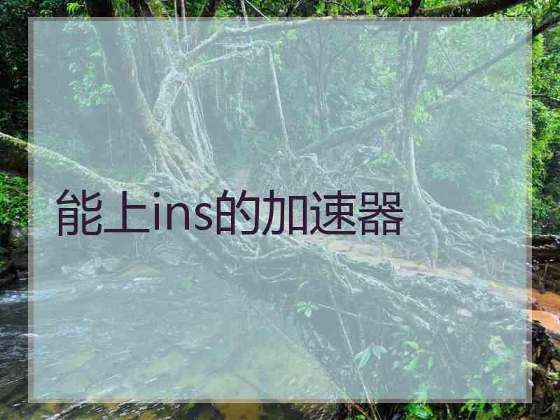 能上ins的加速器
