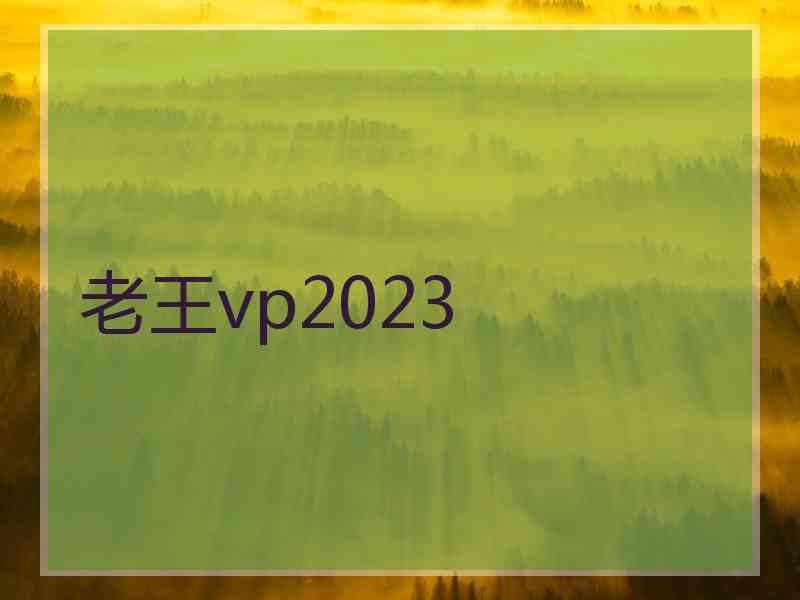 老王vp2023