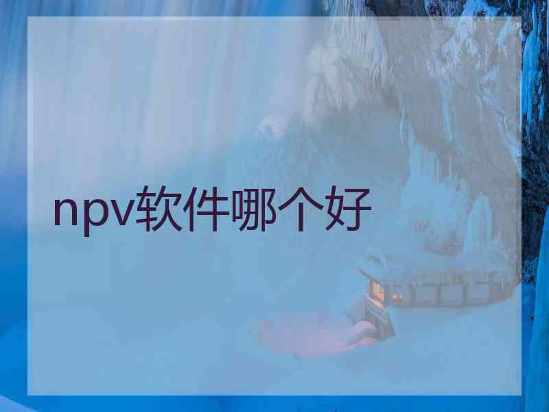 npv软件哪个好