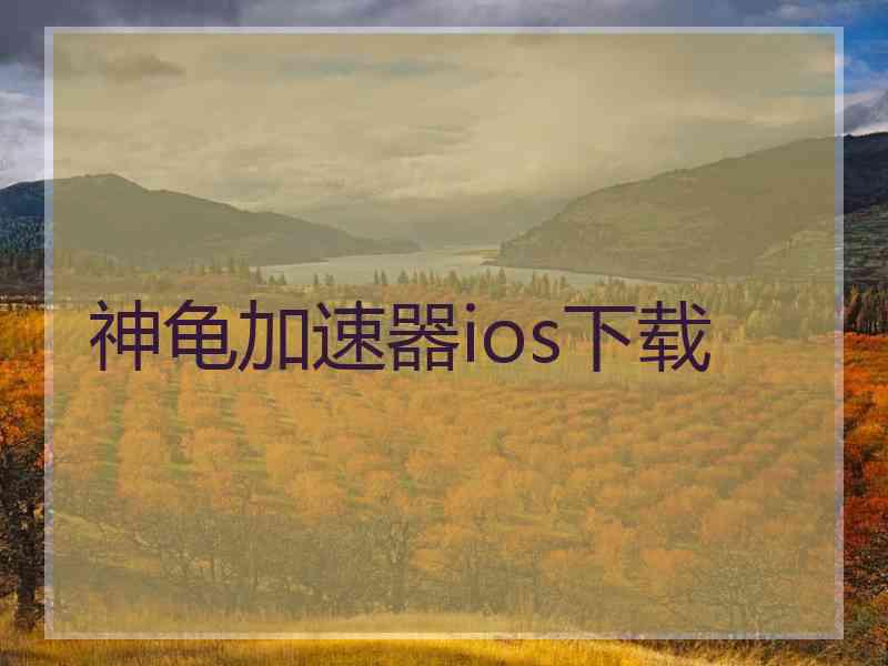 神龟加速器ios下载