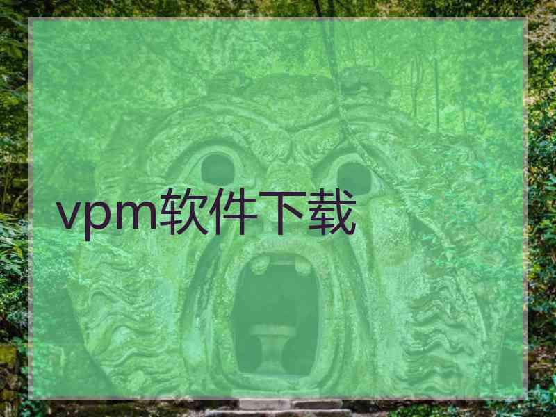 vpm软件下载