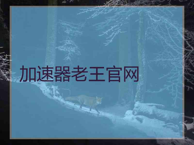 加速器老王官网