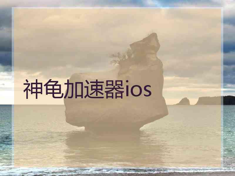 神龟加速器ios