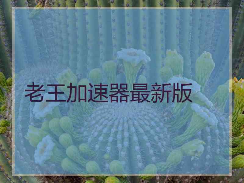 老王加速器最新版