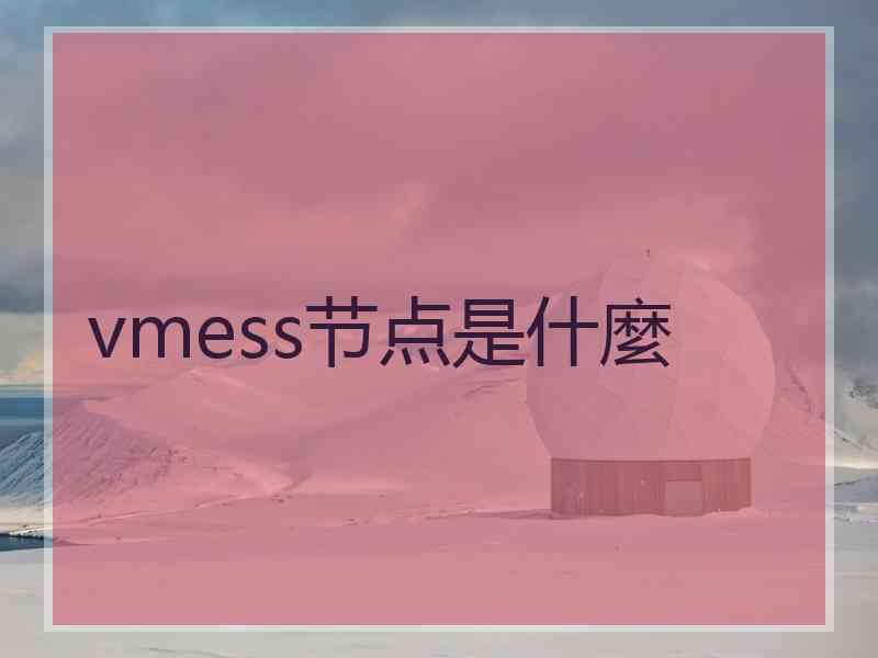 vmess节点是什麼