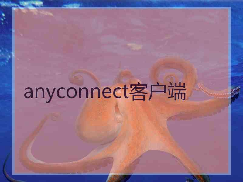 anyconnect客户端