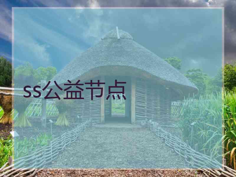 ss公益节点