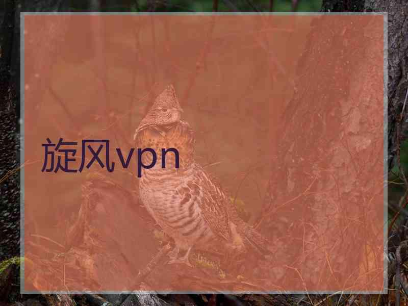 旋风vpn