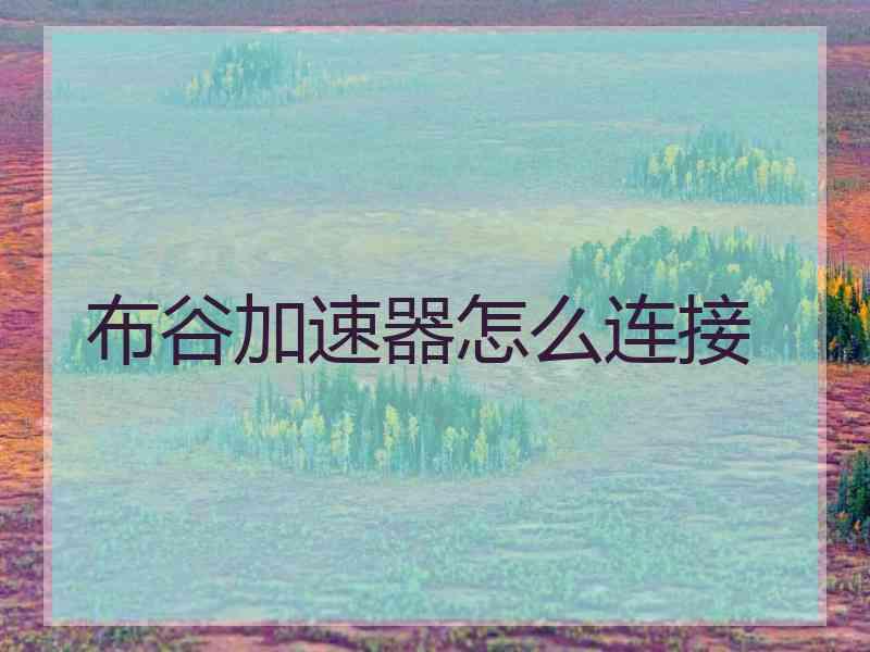 布谷加速器怎么连接