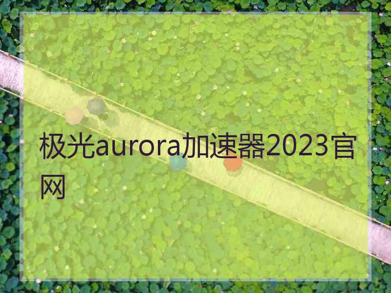 极光aurora加速器2023官网
