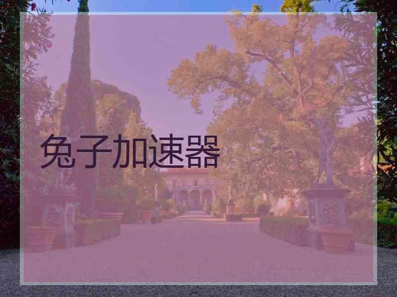 兔子加速器