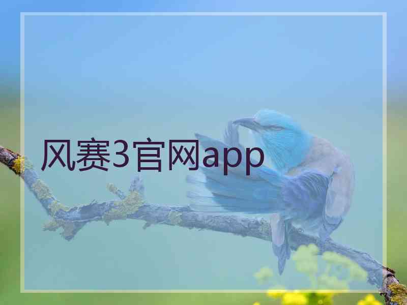 风赛3官网app