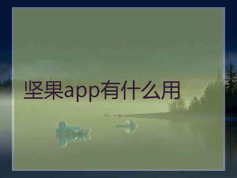 坚果app有什么用