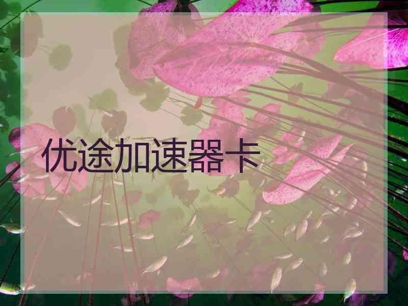 优途加速器卡