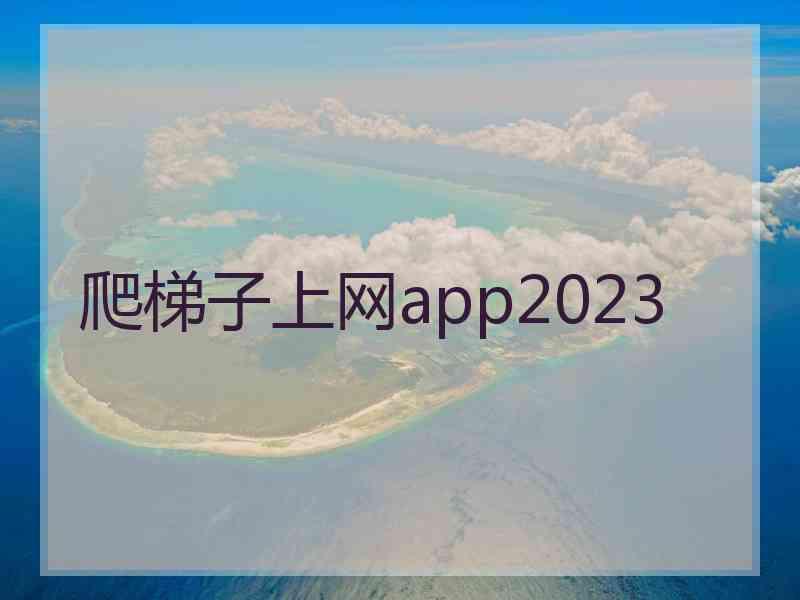 爬梯子上网app2023