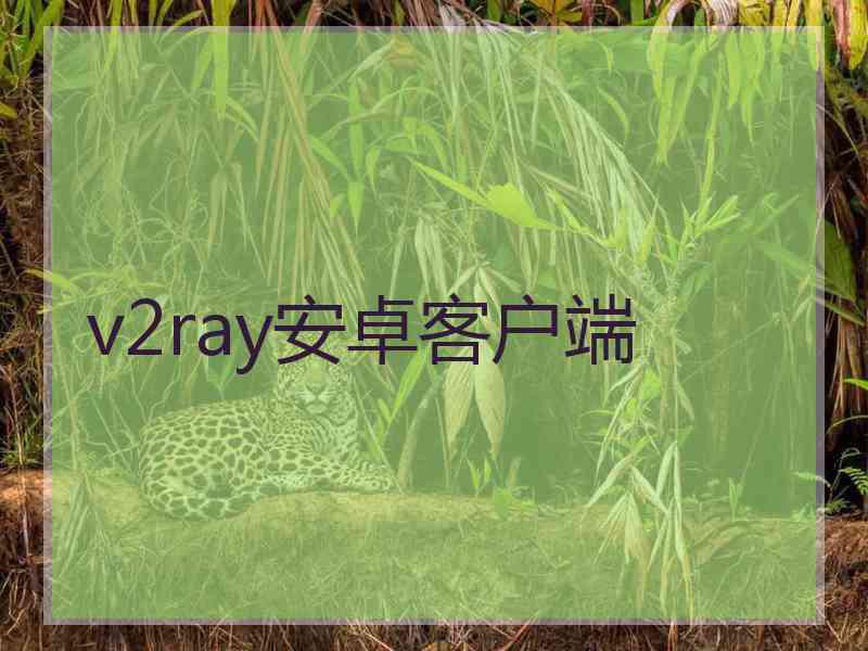 v2ray安卓客户端
