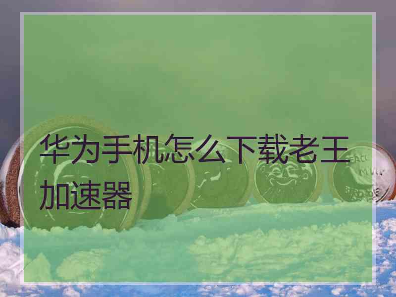 华为手机怎么下载老王加速器
