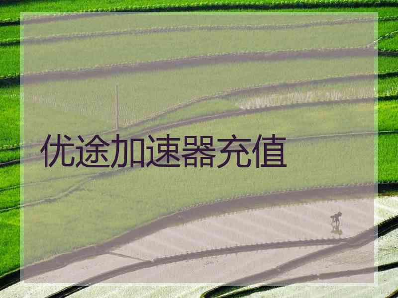 优途加速器充值